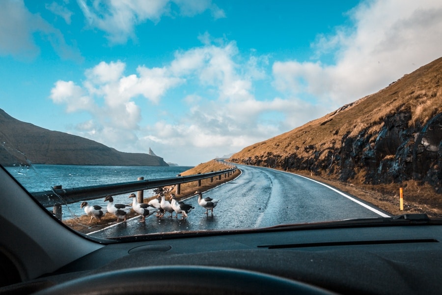 Isole Faroe Guida