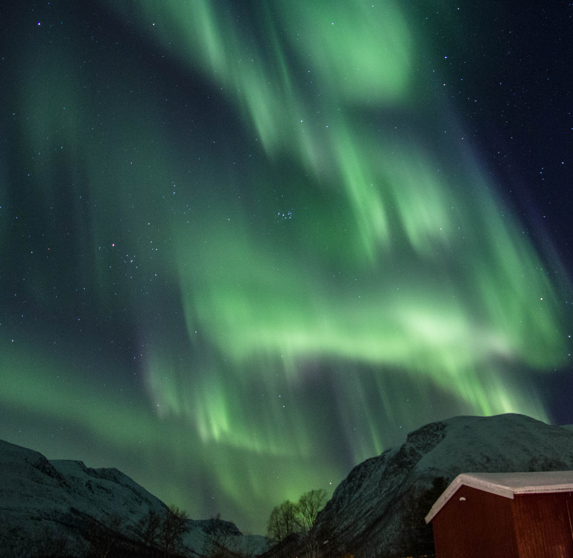 Northern Lights Norway Tromso Alta