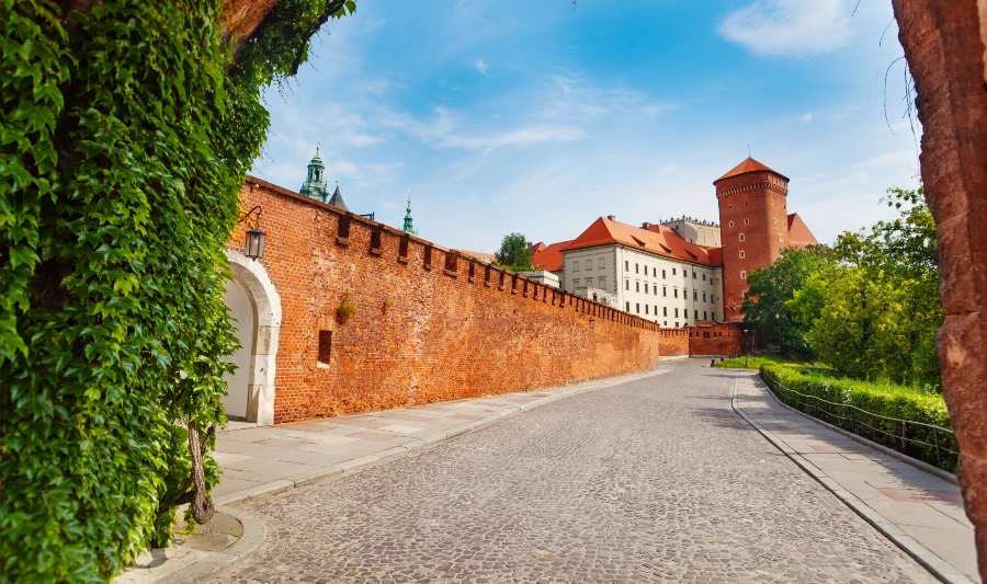 Castello Cracovia Wawel Guida Visita