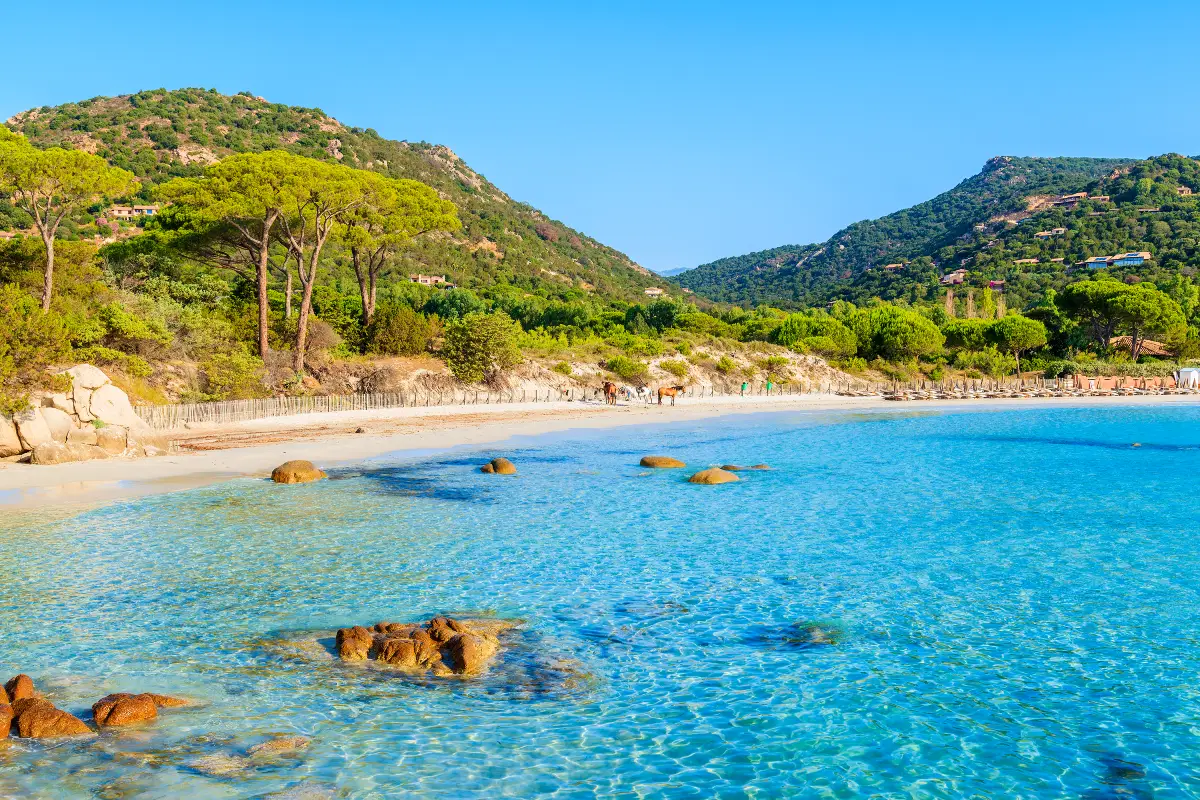 Spiaggia della Palombaggia Corsica